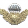 PORTUGAL Army Parachutist qualification wings, 4th series