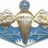 TAIWAN Navy Underwater Demolition Team (UDT) / SEAL qualification badge