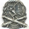 ITALY 185th Airborne Reconnaissance and Target Acquisition Regiment pocket badge