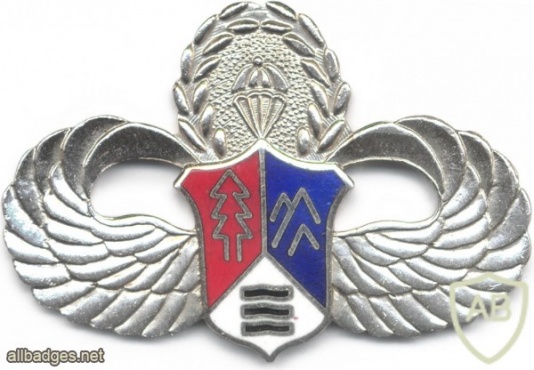 TAIWAN Army Special Terrain Parachutist qualification badge, 1963-1998 img45891
