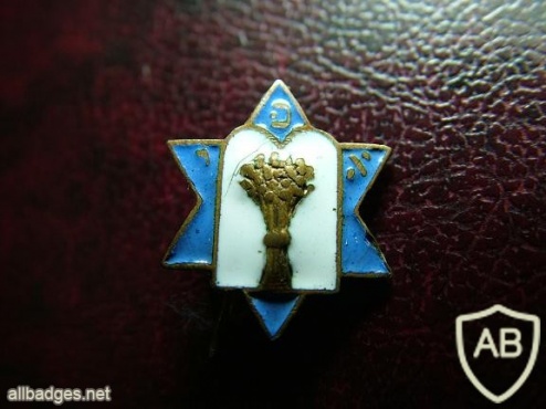 פועלי אגודת ישראל  img46195