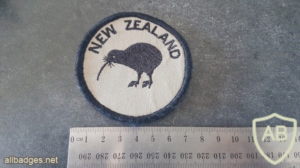 Kiwi Round patch img46188