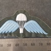 NZ Parachute Wing