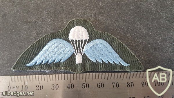 NZ Parachute Wing img46176