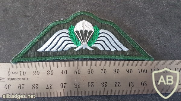 NZ Parachute Wing img46175