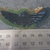 NZ SAS Wing, subdued