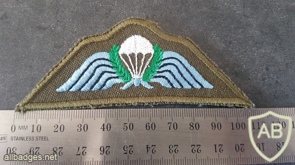 NZ Parachute Wing img46173
