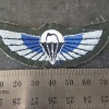 NZ SAS Wing
