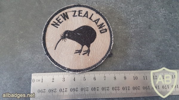 Kiwi Round patch img46191