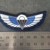 NZ SAS Wing img46167