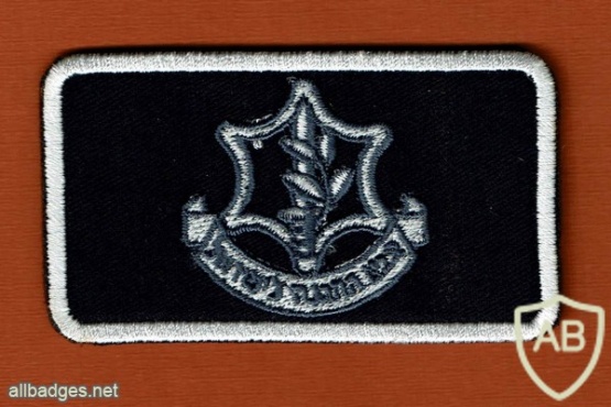 סמל צה״ל לחיילי חיל האויר img46224