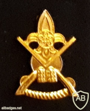 Taiwan Military Police collar badge img46298