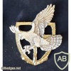 Serbian Military Police (antiterror unit) beret badge img46301