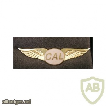 CAL pilot wings img46393