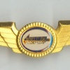 Aeroel pilot wings