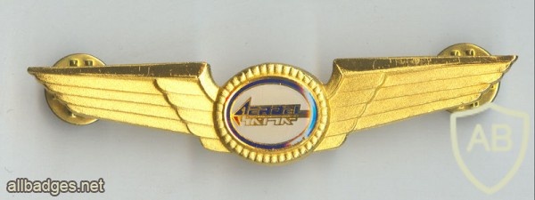 Aeroel pilot wings img46395