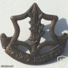 Israel Defence Forces Collar Badge img46455