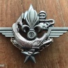 French Foreign Legion 2nd Regiment Combat Diver badge