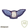 PAKISTAN Air Force pilot wings img46560