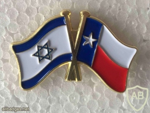 דגל ישראל ודגל מדינת טקסס img46929