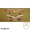 Military Aviator Badge - Produced 1913 img47172