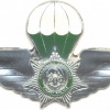 CISKEI Police Task Force Parachutist qualification wings, 1988 - 1994