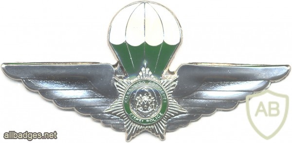 CISKEI Police Task Force Parachutist qualification wings, 1988 - 1994 img47265