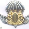 TRANSKEI Defence Force Parachute Battalion beret badge