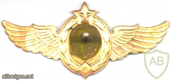 SOVIET UNION Army Space Troops qualification badge, Class M (Master) img47283