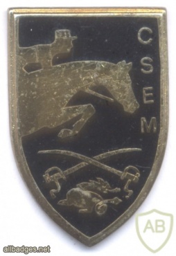 FRANCE Army - Military Equitation Center pocket badge img47303