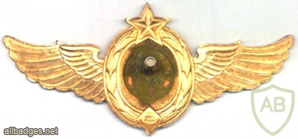 SOVIET UNION Army Space Troops qualification badge, Class 2 img47281