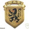 FRANCE Army - 2 Selection Center (C.d.S. 2) pocket badge img47301