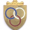 FRANCE Army Physical Education and Sports Instructor pocket badge, gold