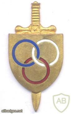 FRANCE Army Physical Education and Sports Instructor pocket badge, gold img47309