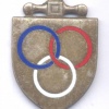 FRANCE Army Physical Education and Sports Instructor pocket badge, silver