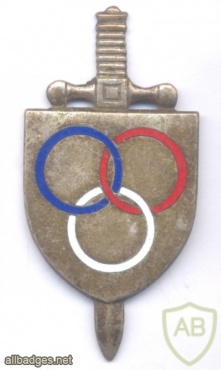 FRANCE Army Physical Education and Sports Instructor pocket badge, silver img47308