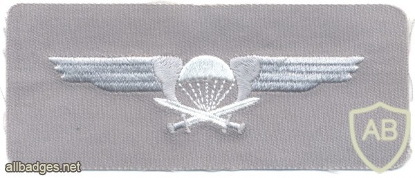 FINLAND Parachutist qualification jump wings, Class II, cloth img47349