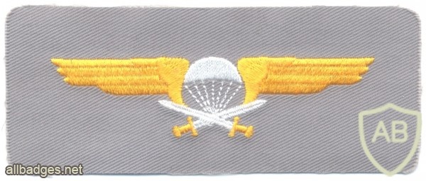 FINLAND Parachutist qualification jump wings, Class I, cloth img47350