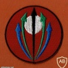 חטיבת חיצי האש חטיבת הצנחנים ( מיל.) חטיבה 555 לשעבר חטיבה 409