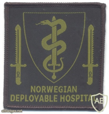 NATO - Norwegian Deployable Hospital sleeve patch, type 2, subdued img47573