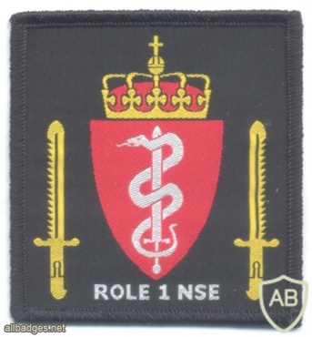 NATO - Norwegian National Support Element Role 1 Medical Facility sleeve patch, full color img47561
