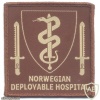 NATO - Norwegian Deployable Hospital sleeve patch, type 2, desert