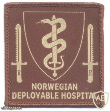 NATO - Norwegian Deployable Hospital sleeve patch, type 2, desert img47574