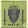NATO - Norwegian National Support Element Role 1 Medical Facility sleeve patch, green