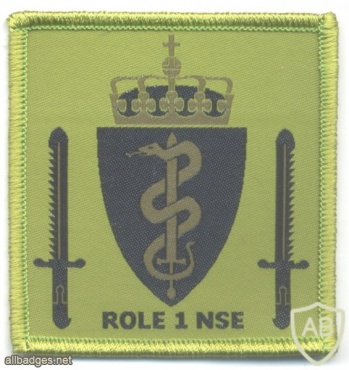 NATO - Norwegian National Support Element Role 1 Medical Facility sleeve patch, subdued img47563