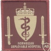 NATO - Norwegian Deployable Hospital sleeve patch, type 1, desert