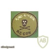 2nd Recon Bn, 60th Regiment, 9th Infantry Division Vietnam Patch