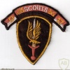 17th AIR CAVALRY TROOP D COMBAT SCOUTS