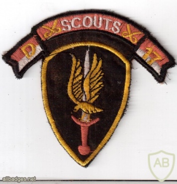 17th AIR CAVALRY TROOP D COMBAT SCOUTS img47676