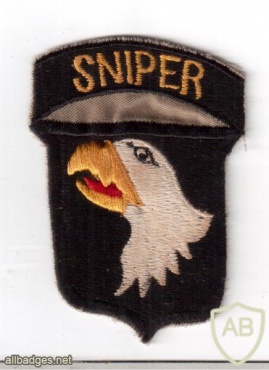 101st Airborne patch img47689